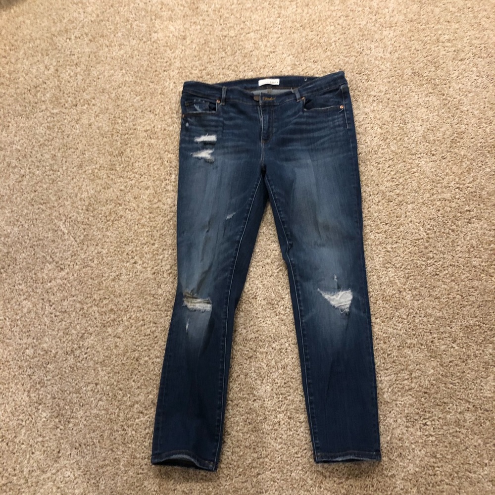 Loft modern skinny jean